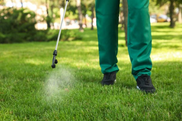 Insect Control in New Freedom, PA