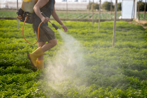 Pest Prevention Services in New Freedom, PA